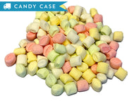 Pastel (Party) Mints - Bulk Case