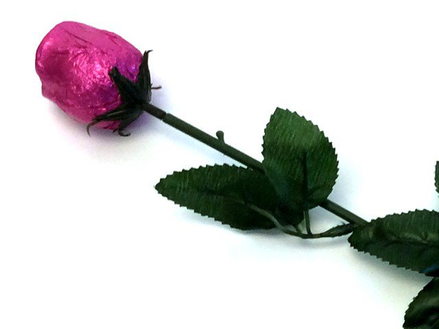 Pink Chocolate Rose
