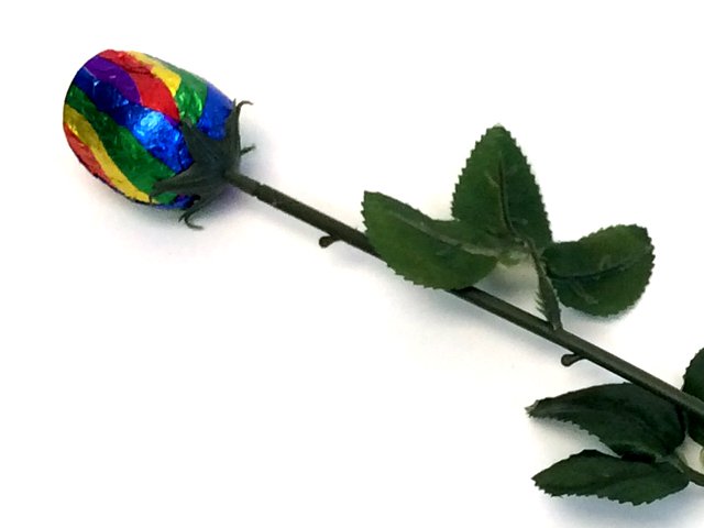 Rainbow Chocolate Rose